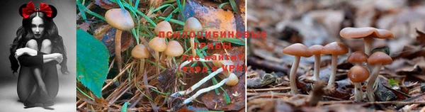 МДПВ Березники