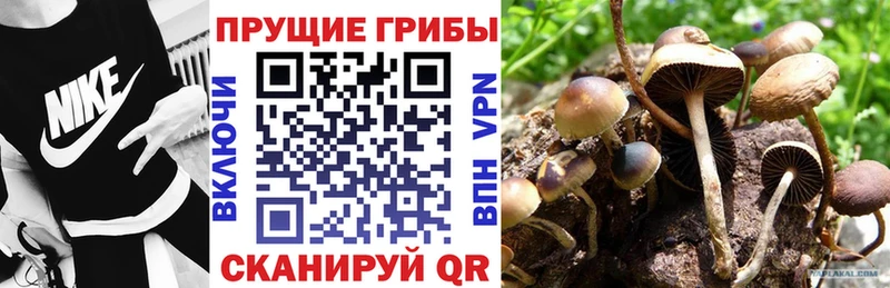 где можно купить наркотик  Анадырь  Галлюциногенные грибы мухоморы 